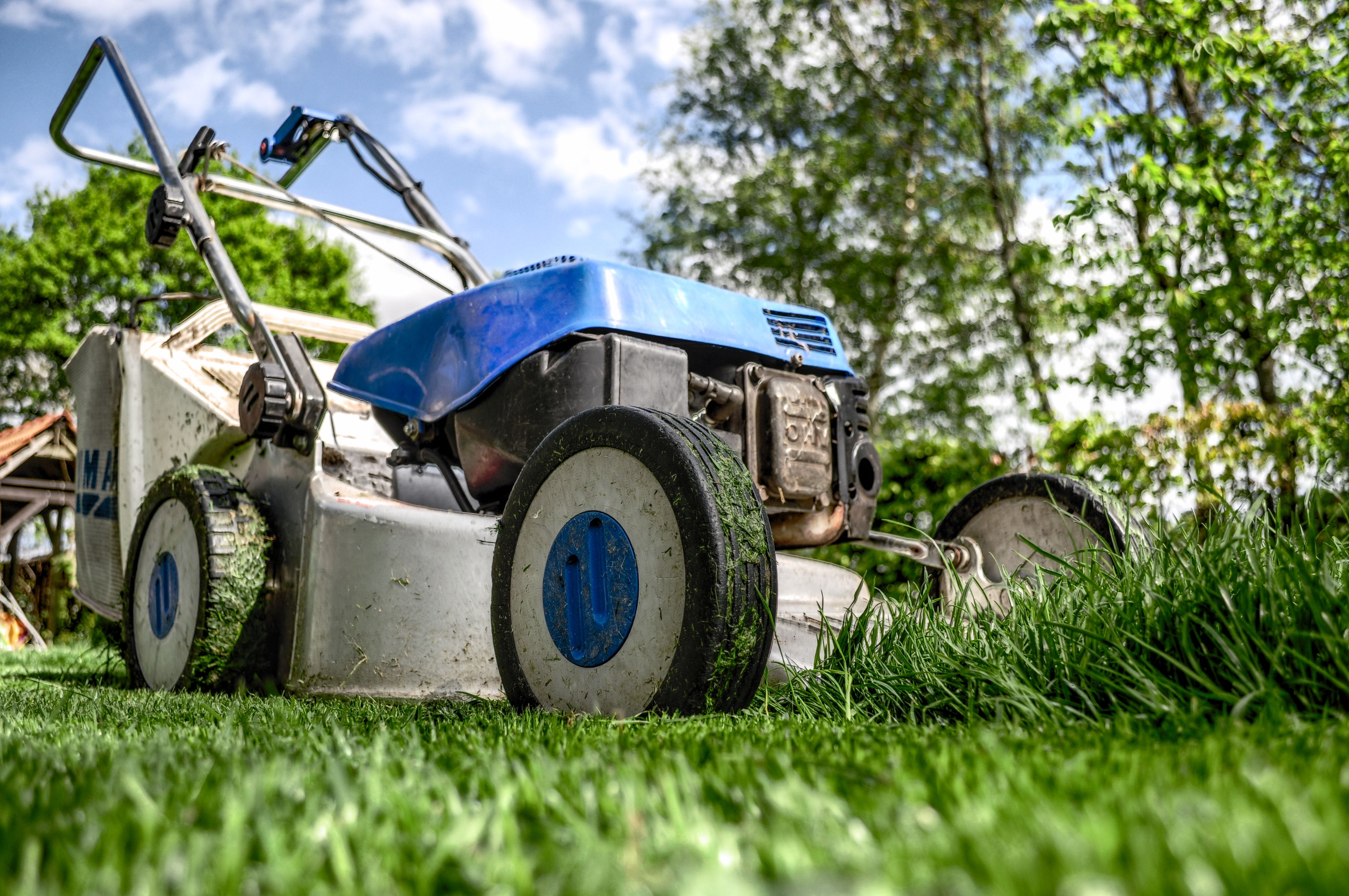 Lawn mower on a freshly cut green lawn