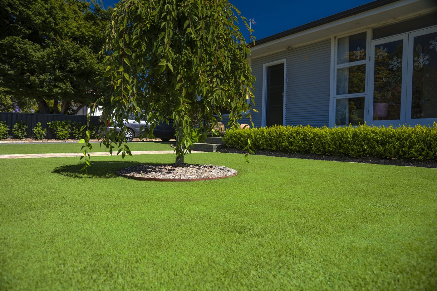 TifTuf Hybrid Bermuda turf supplied by Tall Turf in Melbourne